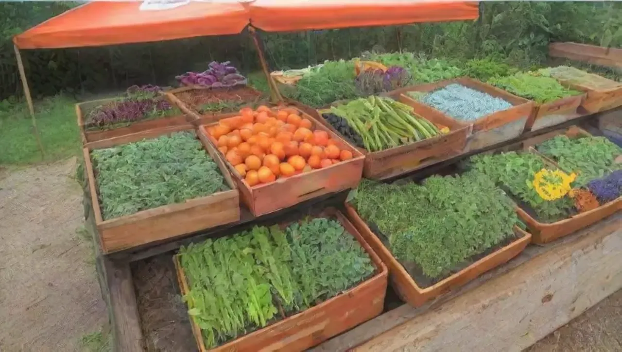 Un mercado agrícola vibrante y comunitario lleno de productos frescos y alegría