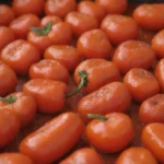 Plato peruano tradicional