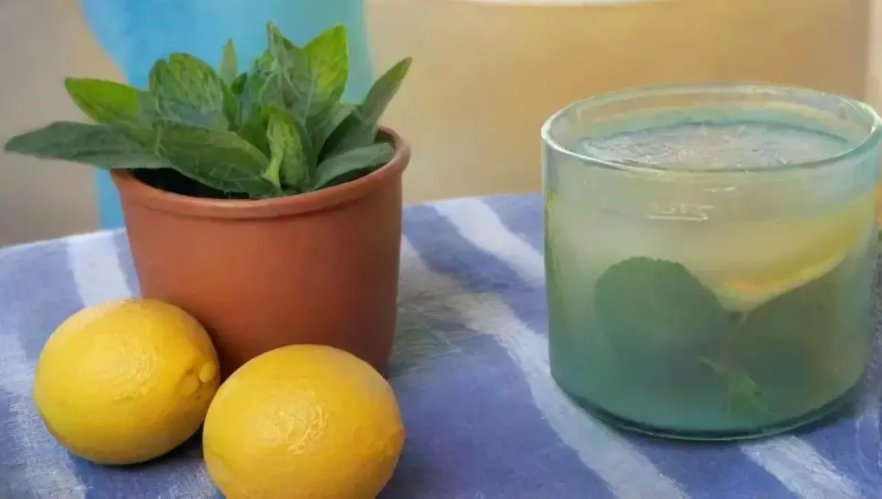 Un ambiente sereno con hojas de menta, té humeante y luz suave