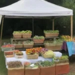 El veganismo puede ser accesible para todos en diferentes economías