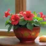 De qué manera el té de hibisco puede contribuir a una mejor circulación
