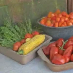 La cocina de temporada: cómo aprovechar los productos frescos
