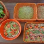 Las tendencias vegetarianas en la cocina internacional: qué probar