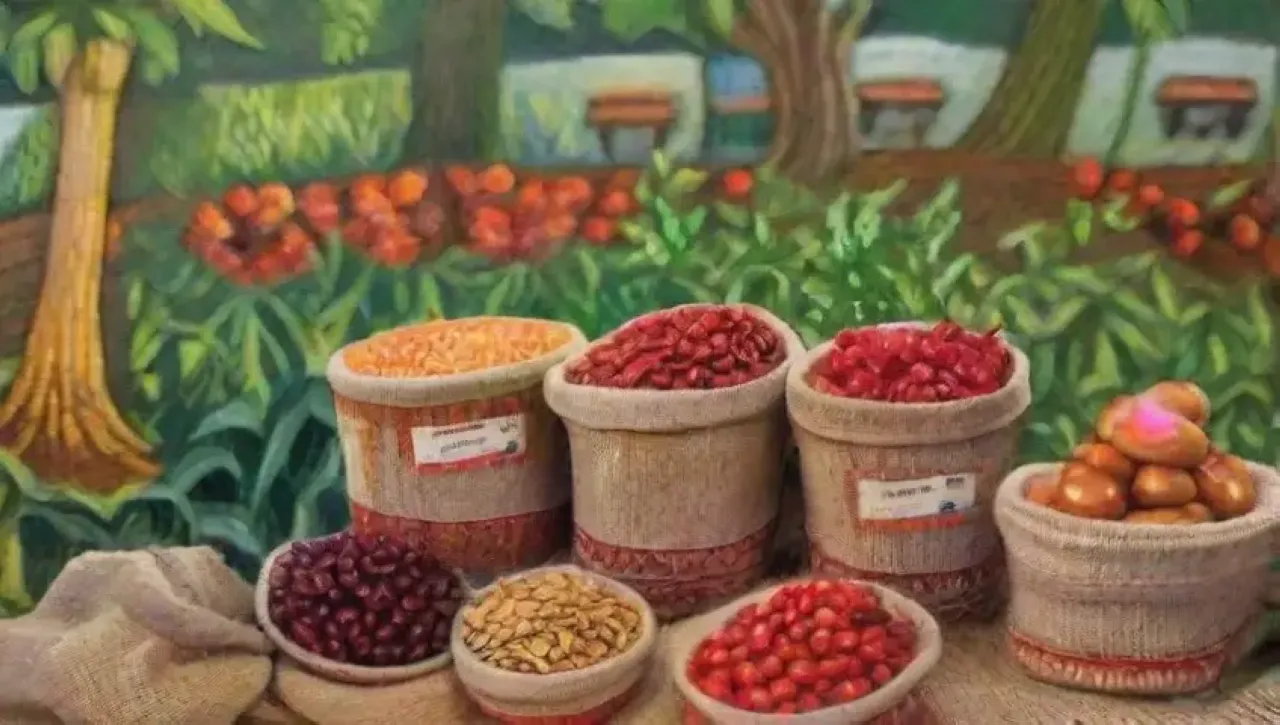 Café vibrante y sostenible, desde la cosecha hasta la taza