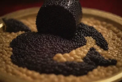 Imágenes de lujo con texturas ricas y colores profundos