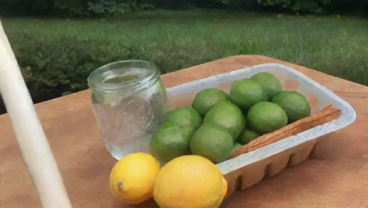 Una alegre reunión de amigos disfrutando de una refrescante bebida con limón y jengibre