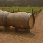 Vitivinicultura australiana con cervezas