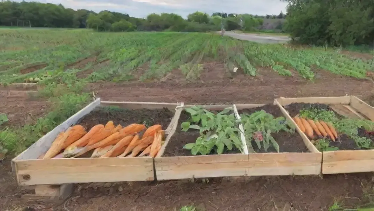 Un paisaje agrícola vibrante y armonioso lleno de vida y productos frescos