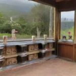 Sabías que el café tiene su propia cultura y rituales en el mundo
