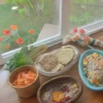 El veganismo puede considerarse un estilo de vida saludable en 2023