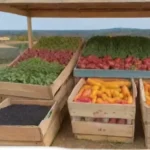 De qué manera la comida orgánica se está convirtiendo en norma