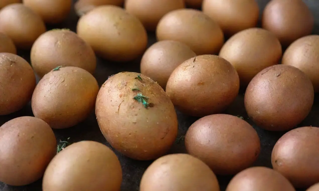 Ingredientes esenciales: papas crujientes, cebolla rallada, huevos, harina, sal, pimienta y hierbas frescas