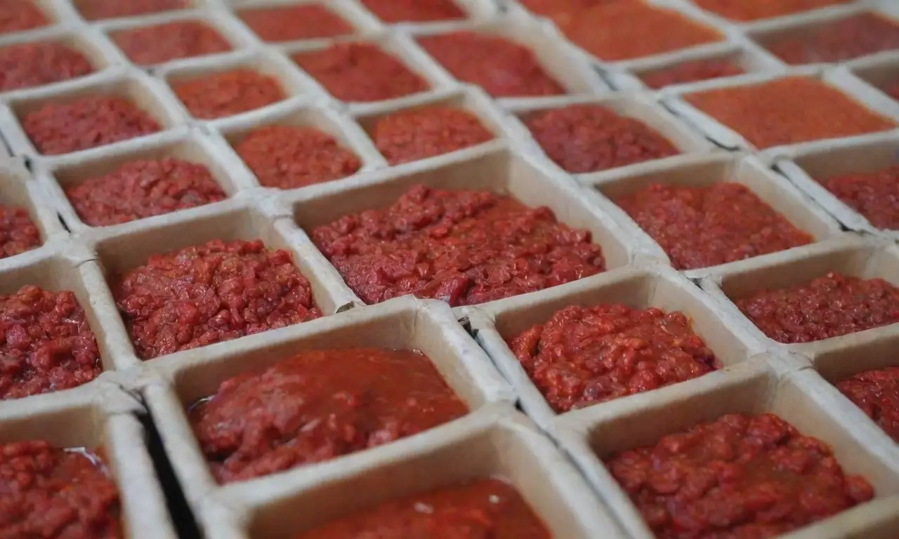 El gochujang es una salsa de chile rojo coreana fermentada, tradicional y colorida